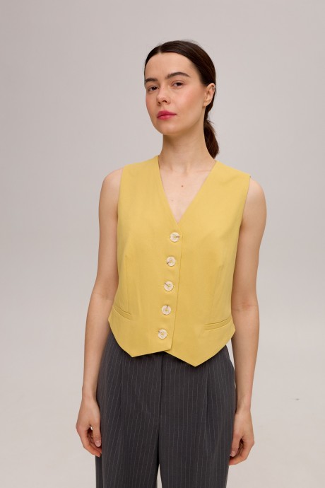 Жовтий жилет 39673967 купить